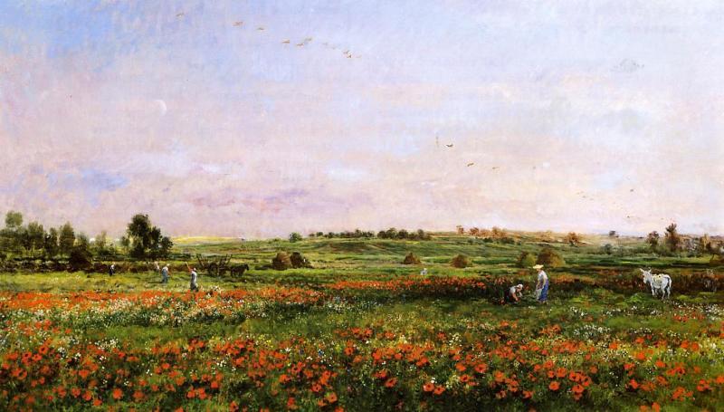 Charles-Francois Daubigny Fields in the Month of June Norge oil painting art
